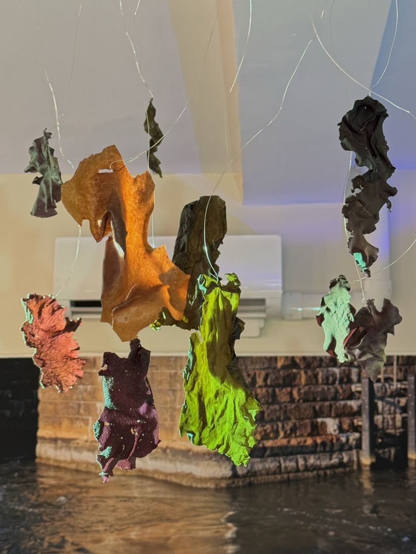 Sculptural and Photographic work from The Beach and the Bay, 2026